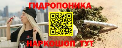 скорость Будённовск